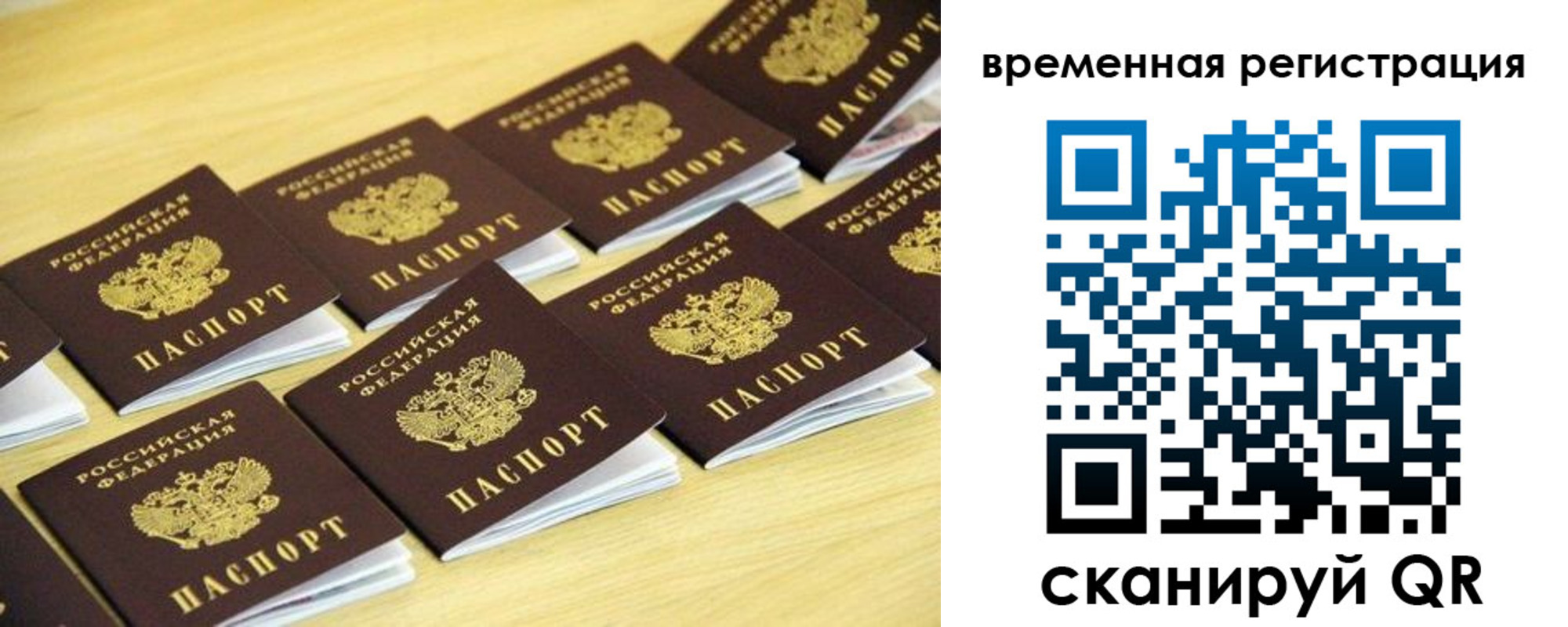 временная прописка в Каргополе